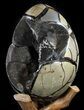 Septarian Dragon Egg Geode - Crystal Filled #37455-2